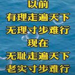 丈夫病重被妻子拉黑两年多，去世后妻子又来争遗产，法院这样判决