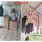 党员涉赌骂人、造假诬告竟胜诉！重庆荣昌案背后隐藏着多少保护伞？