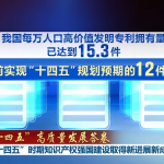 “十四五”时期知识产权强国建设取得新进展新成效